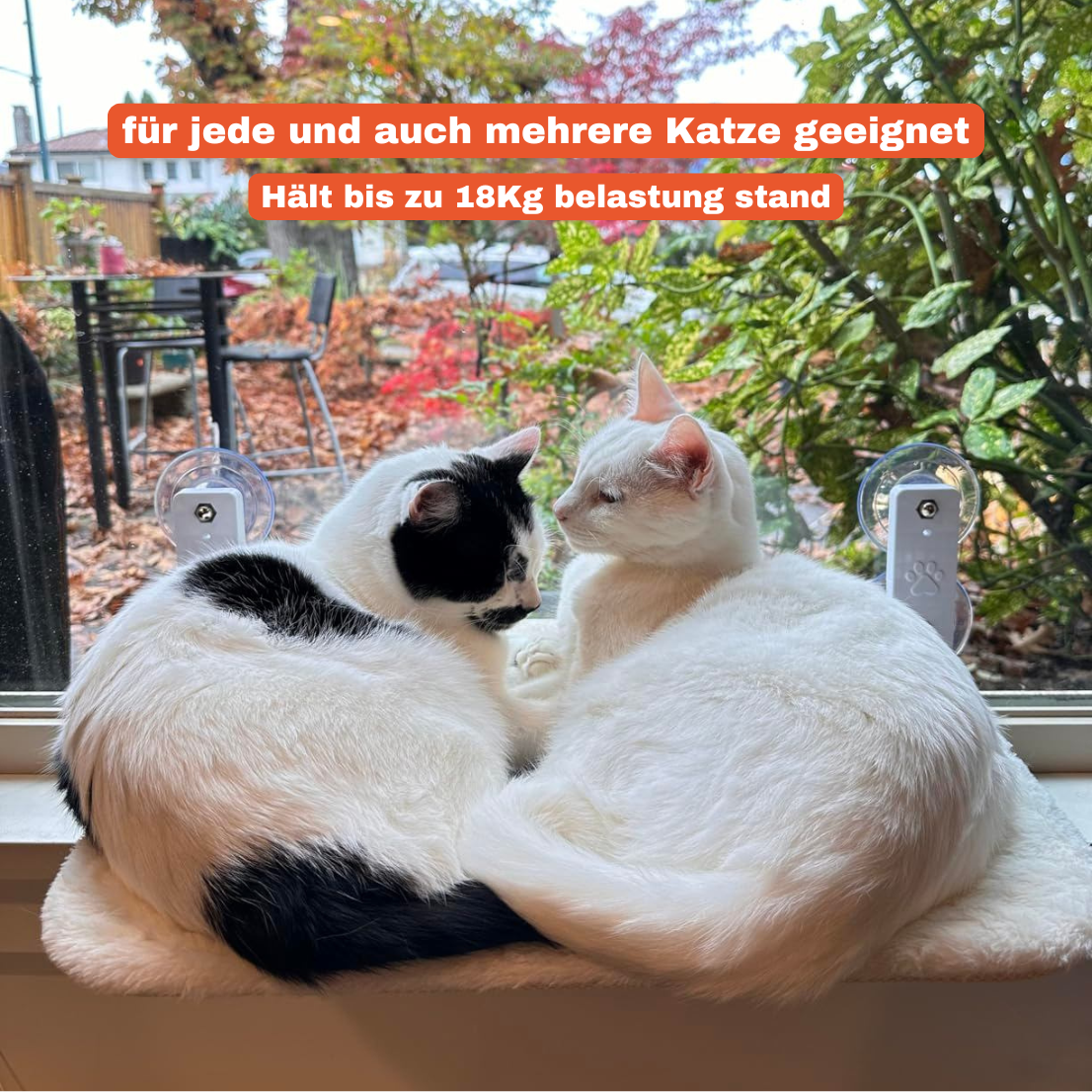 Naptule - die entspannende Katzen Hängematte