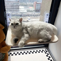 Naptule - die entspannende Katzen Hängematte