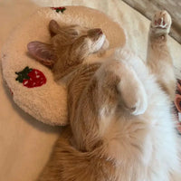 Katzen Nackenkissen - für tiefe entspannung