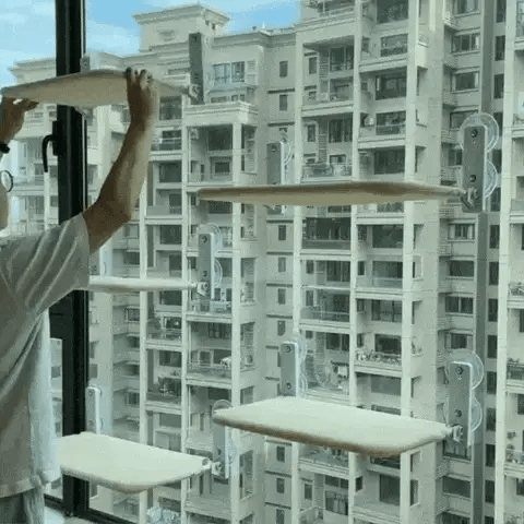 Naptule - die entspannende Katzen Hängematte