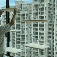 Naptule - die entspannende Katzen Hängematte