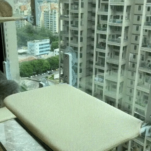 Naptule - die entspannende Katzen Hängematte